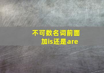 不可数名词前面加is还是are