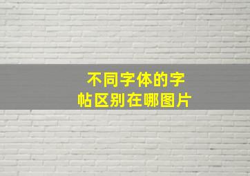 不同字体的字帖区别在哪图片