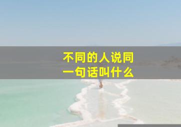 不同的人说同一句话叫什么