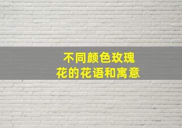 不同颜色玫瑰花的花语和寓意