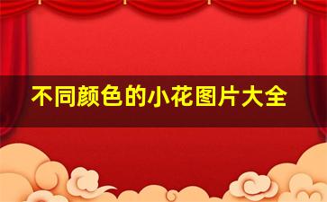 不同颜色的小花图片大全