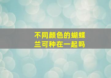 不同颜色的蝴蝶兰可种在一起吗