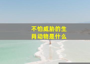 不怕威胁的生肖动物是什么