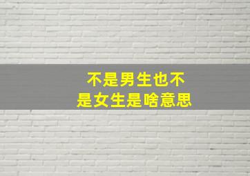 不是男生也不是女生是啥意思