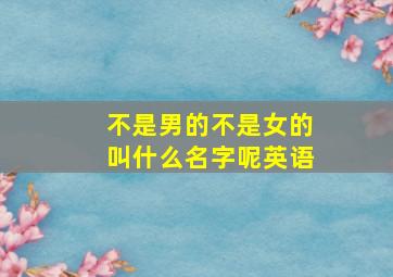 不是男的不是女的叫什么名字呢英语