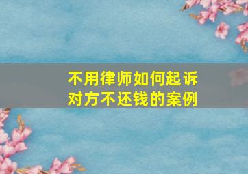 不用律师如何起诉对方不还钱的案例