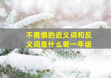 不畏惧的近义词和反义词是什么呢一年级