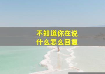 不知道你在说什么怎么回复