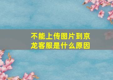 不能上传图片到京龙客服是什么原因