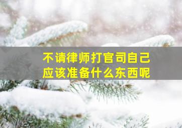 不请律师打官司自己应该准备什么东西呢