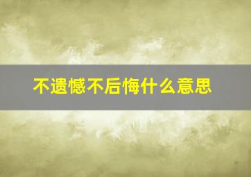 不遗憾不后悔什么意思