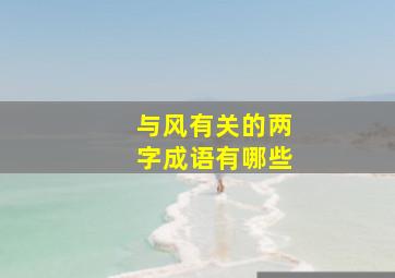 与风有关的两字成语有哪些