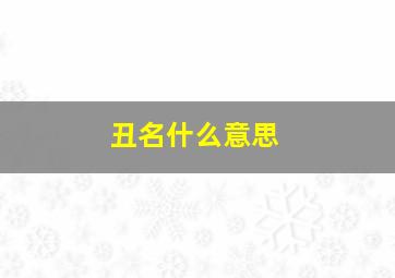 丑名什么意思