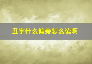 丑字什么偏旁怎么读啊