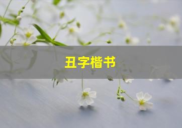 丑字楷书