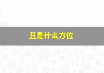 丑是什么方位