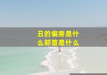 丑的偏旁是什么部首是什么