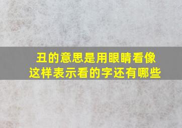 丑的意思是用眼睛看像这样表示看的字还有哪些