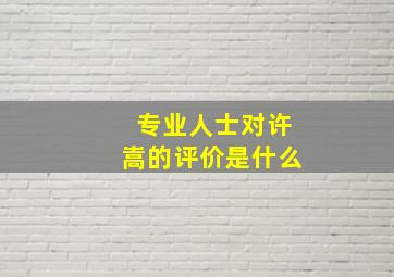 专业人士对许嵩的评价是什么