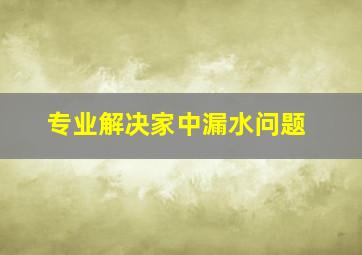 专业解决家中漏水问题