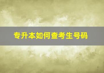 专升本如何查考生号码