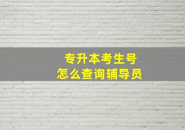 专升本考生号怎么查询辅导员