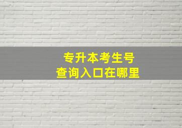 专升本考生号查询入口在哪里