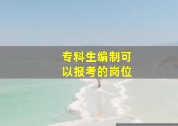 专科生编制可以报考的岗位