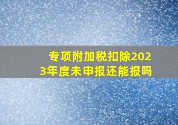 专项附加税扣除2023年度未申报还能报吗