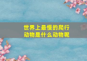 世界上最慢的爬行动物是什么动物呢