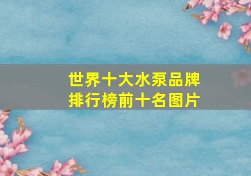 世界十大水泵品牌排行榜前十名图片