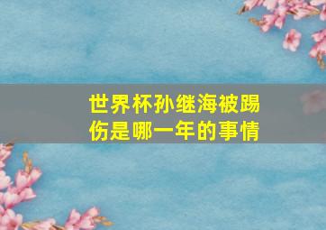 世界杯孙继海被踢伤是哪一年的事情