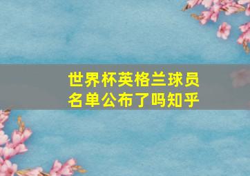 世界杯英格兰球员名单公布了吗知乎