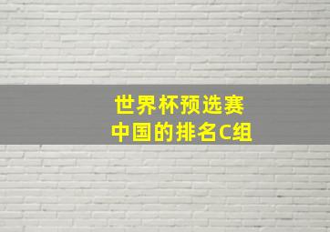 世界杯预选赛中国的排名C组