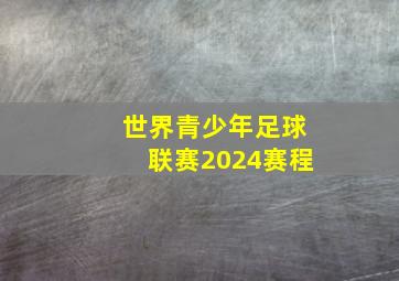 世界青少年足球联赛2024赛程