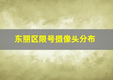 东丽区限号摄像头分布