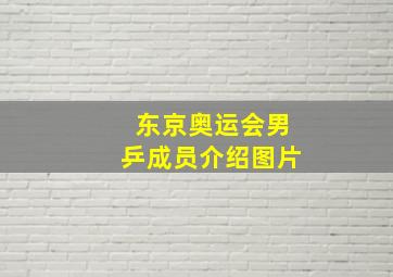 东京奥运会男乒成员介绍图片