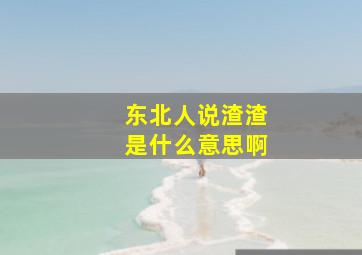 东北人说渣渣是什么意思啊