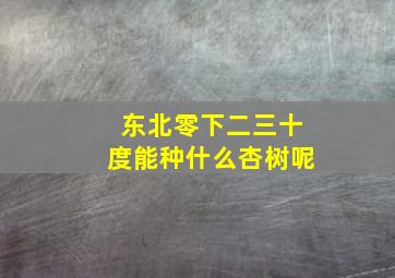 东北零下二三十度能种什么杏树呢