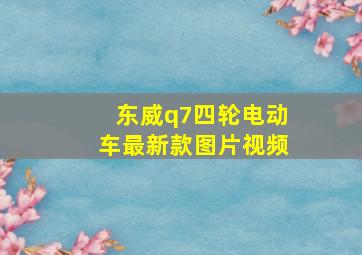 东威q7四轮电动车最新款图片视频