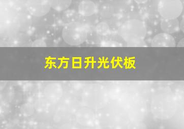 东方日升光伏板