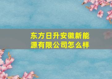 东方日升安徽新能源有限公司怎么样