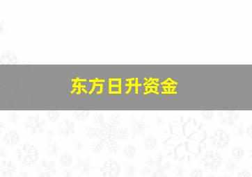 东方日升资金