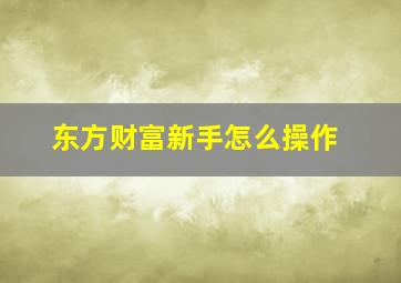 东方财富新手怎么操作