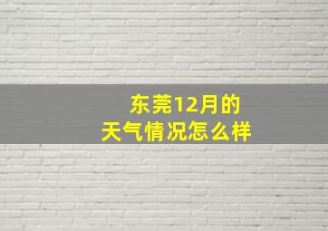 东莞12月的天气情况怎么样