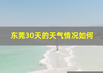 东莞30天的天气情况如何