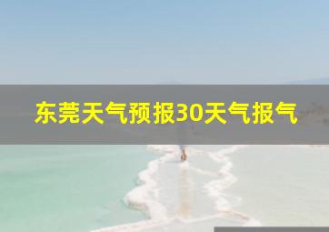 东莞天气预报30天气报气