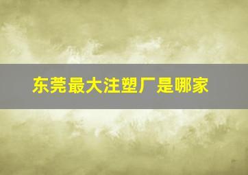 东莞最大注塑厂是哪家