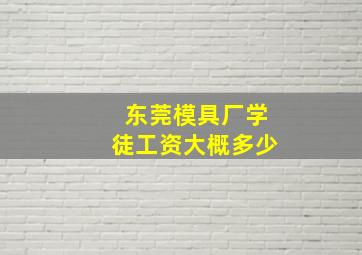 东莞模具厂学徒工资大概多少