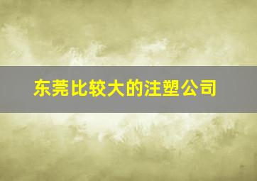 东莞比较大的注塑公司